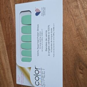 Color Street OSLO AND STEADY Press On Nails 100% Real Polish